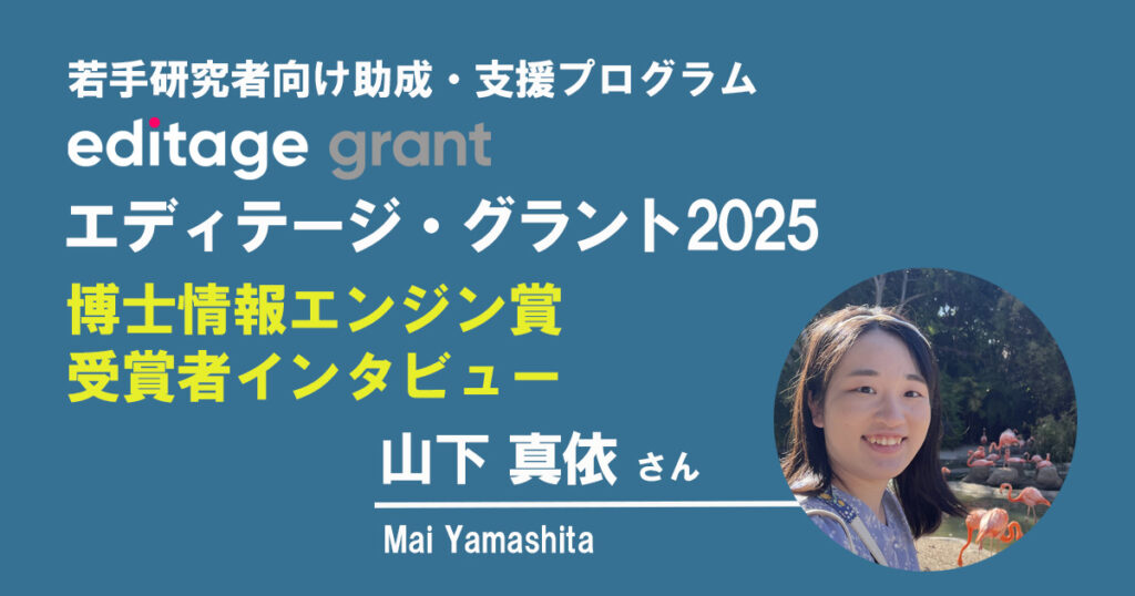 mai yamashita